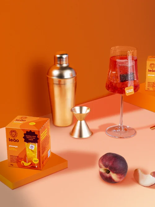 Imagens Internas_LEÃO_Color Block 1