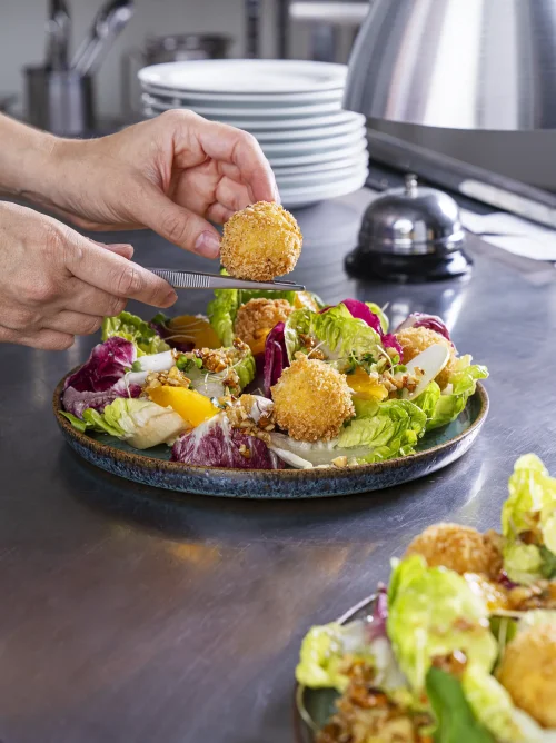 Imagens Internas_Polenghi_Salada com Alouette Frito